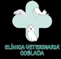 CLÍNICA VETERINARIA COSLADA