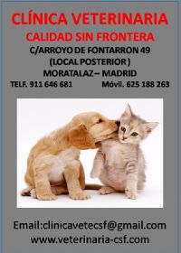 CLINICA VETERINARIA CALIDAD SIN FRONTERA