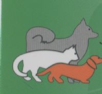ZOO, Clínica Veterinaria