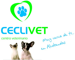 CECLIVET, Centro Veterinario